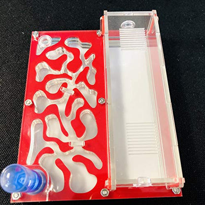 ANT 150mmx110mm Test Tube Moisture Big Space Nest Farm Acrylic, Insect Villa House Ecological Workshop (red) - color: red
