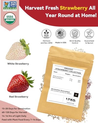 LYKOCLEAN Herb Seed Pod Kit Compatible with AeroGarden Hydroponics Growing System, Complete Indoor Gardening Supply (Strawberry, 8-pods) - color: Strawberry, size: 8-pods