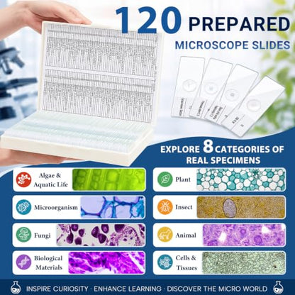 Tellegloww 120 Pcs Microscope Slides with Specimens for Kids & Students