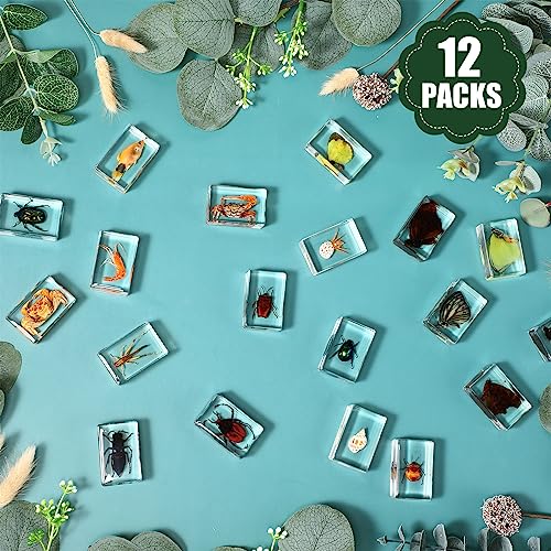 12 Pcs Insect in Resin Specimen Butterfly Bugs Collection Paperweights，12 Styles Real Bug Specimen Bug Kit Preserved in Resin for Scientific Educational Display Supplies (Insect)