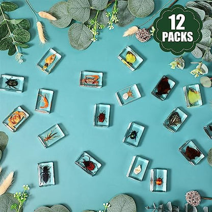 12 Pcs Insect in Resin Specimen Butterfly Bugs Collection Paperweights，12 Styles Real Bug Specimen Bug Kit Preserved in Resin for Scientific Educational Display Supplies (Insect)