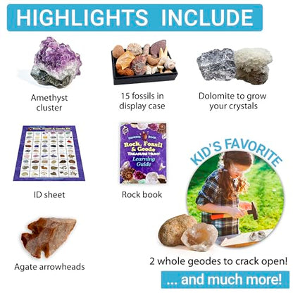 DANCING BEAR Geology Fossil Bundle – 2 STEM Activity Kits: Rock, Mineral & Geodes and Fossil Sorting Activity