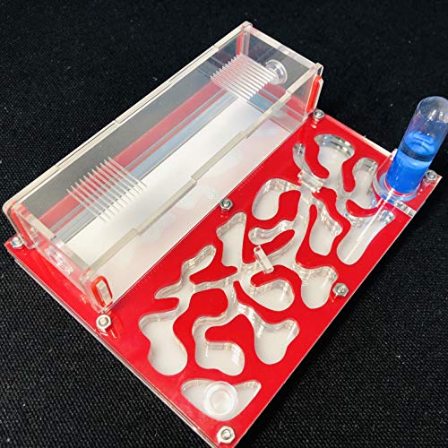 ANT 150mmx110mm Test Tube Moisture Big Space Nest Farm Acrylic, Insect Villa House Ecological Workshop (red) - color: red