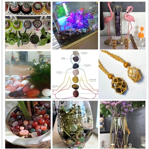 400Pcs 1.5lb Gemstones and Crystals Set,30Kinds+ Bulk Chips Crystals