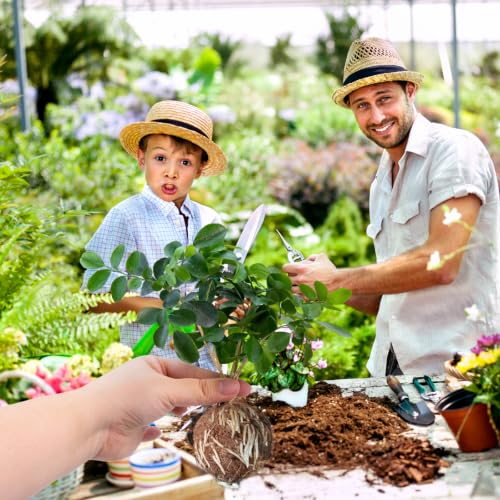 Tree Root Growing Box, Reusable Transparent Plants Asexual Reproduction Grafting Ball, High Pressure Air Layering Pods Propagation Kit (10pcs Meidum) - color: Black-m-10pack
