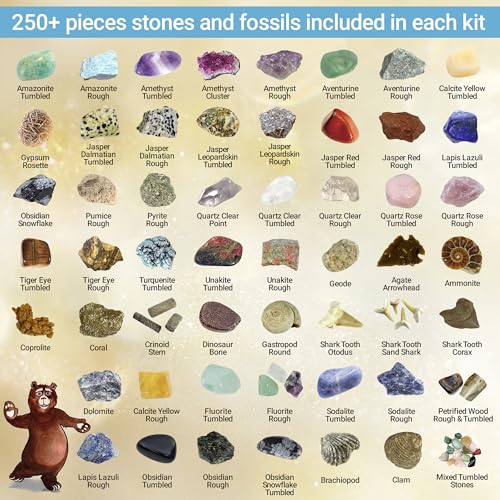 DANCING BEAR Geology Fossil Bundle – 2 STEM Activity Kits: Rock, Mineral & Geodes and Fossil Sorting Activity