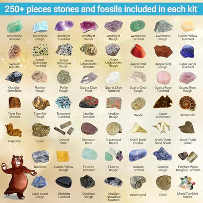 DANCING BEAR Geology Fossil Bundle – 2 STEM Activity Kits: Rock, Mineral & Geodes and Fossil Sorting Activity