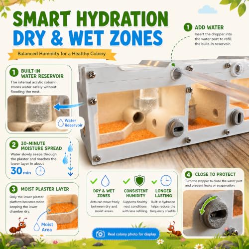 PADA Series 3D Light Nest Ant Farm with Activity Arena Modular Kit - size: Light Nest Kit