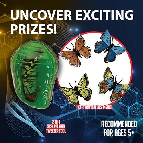 Discover it Butterfly, Science Lab Kit, STEM Toys for Kids, Ages 5+ - style: Butterfly