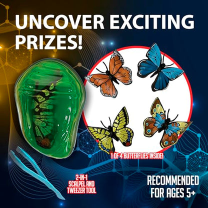 Discover it Butterfly, Science Lab Kit, STEM Toys for Kids, Ages 5+ - style: Butterfly