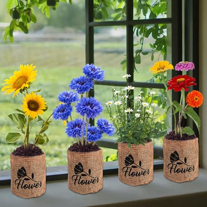 Indoor Daisy Garden Starter Kit, 4 Flower Seeds Growing into Shasta Daisy, Cornflower, Sunflower, Zinnia, Including Complete Gardening Tools for Women Men & Beginners