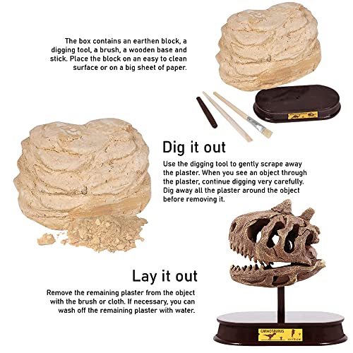 ArtCreativity Dinosaur Excavation Kit, 5-Inch Carnotaurus Skull Toy & Stand - style: Carnotaurus