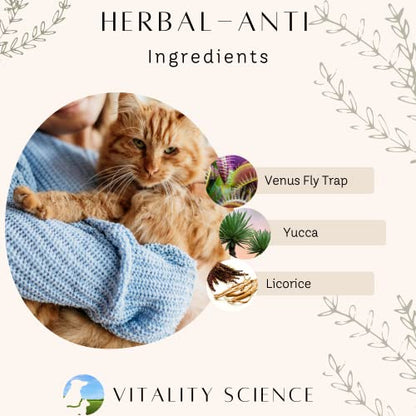 Vitality Science Advanced Immune Restoration Supplements for Dogs | Intense Regeneration Protocol | Helps with Pain Relief (Medium) - size: Medium