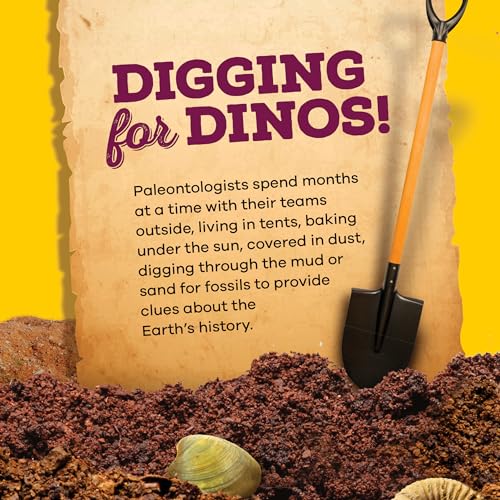 Real Fossil Dig Kit for Kids - Science Kits for Boys & Girls Age 8-12 Years