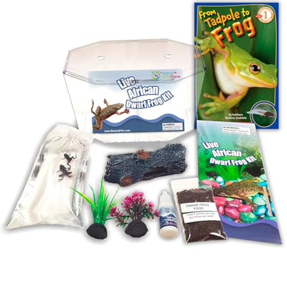 African Dwarf Frog Kit with Certificate for 2 Live Frogs, Book, Tank Bundle