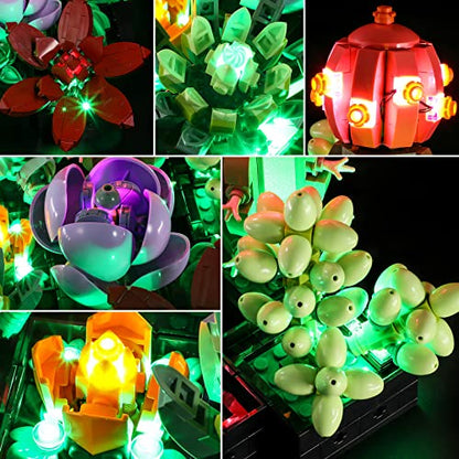 Lightailing Light for Lego-10309 Succulents - Led Lighting Kit Compatible with Lego Building Blocks Model - NOT Included The Model Set - style: (Only Light) 10309 Succulents