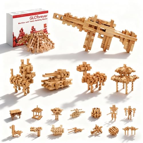 STEM Wooden Building Blocks - 20+ Shapes, 3D Puzzle, Brain Games, Educational Toys Gift for Kids and Classroom,Montessori STEM Toys for Ages 5+ and Adults (20 in 1 Premium Version) - style: 20 in 1 Premium Version