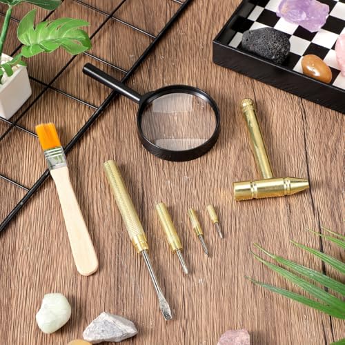 Garneck Archaeological Excavation Toy Set 7 pcs Kids Fossil Dig Kit Tools Metal Dinosaur Digging Tools Paleontologist Tool Kit for Pretend Play