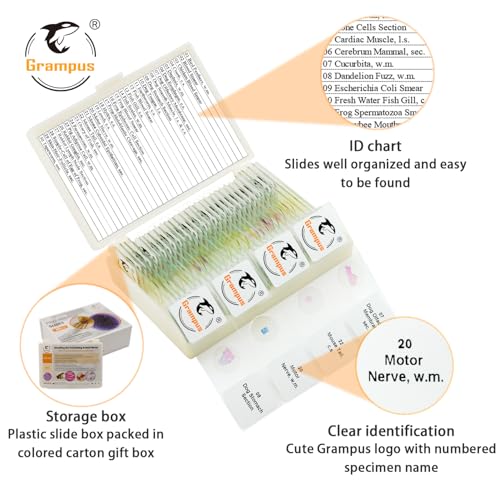 30 Prepared Microscope Slides with Specimens for Kids Students - Animal Microscope Slide Sets for Biological Lab, Children's Science Education, Homeschooling - style: 30PCS Animals