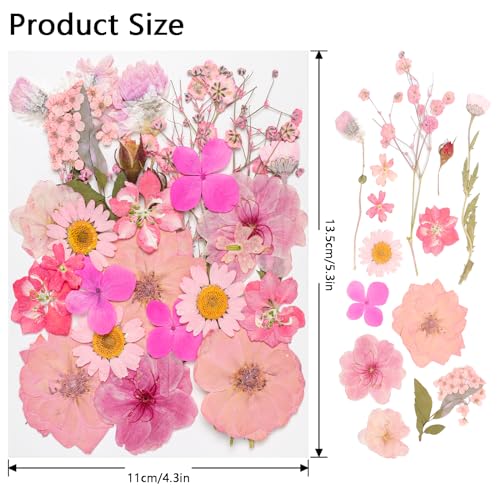 50Pcs Dried Pressed Flowers Real Pressed Flowers Natural Dry Leaves Bulk Mixed Colorful Herbs Kit with Tweezers for Scrapbooking DIY Candle Jewelry Crafts Making Nails (Pink) - color: Pink