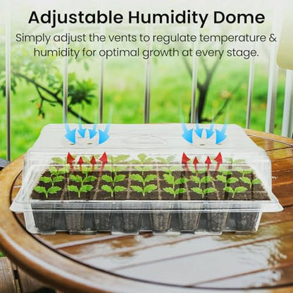 Bonviee Seed Starter Trays with Grow Lights, 80 Cells, 2 Pack - color: Clear, size: 2 Packs