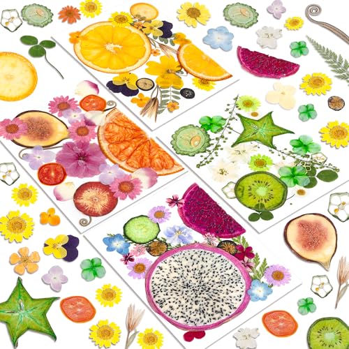 Resiners Dried Pressed Flowers for Resin Molds Scrapbook Supplies - color: Bright Fruit 80pcs