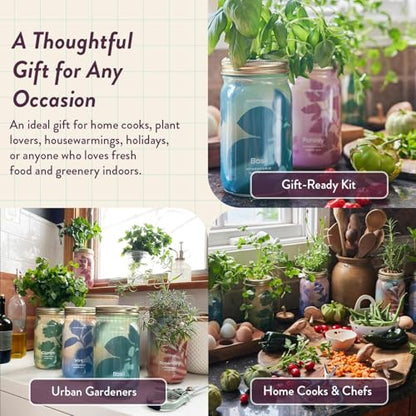 Modern Sprout Mason Garden Jar - Self-Watering Hydroponics Kit - Parsley - color: Parsley, size: Garden Jars