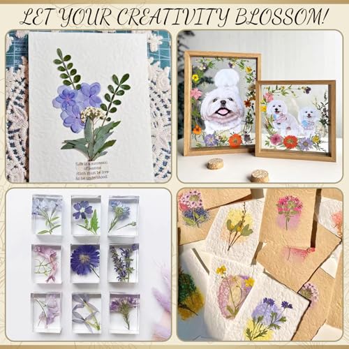 GTQYYF Large Flower Press Kit 10.8 x10.8 inches with Storage Bag,Solid Wood Flower Press Kit - DIY Arts and Craft Kit 10 -Layers, Ideal Gift for Flower & Plant Lovers - size: 10.8 x 10.8 inches