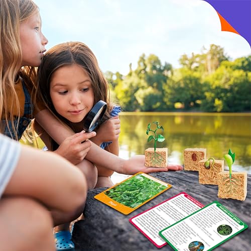 15 Plant Life Circle Flashcards with 4 Plastic Figurines-Seed to Plant, Plants Introduction Card Plants Growth Details for Nature Lovers & Adults, Montessori Toy for Kids - style: Plant