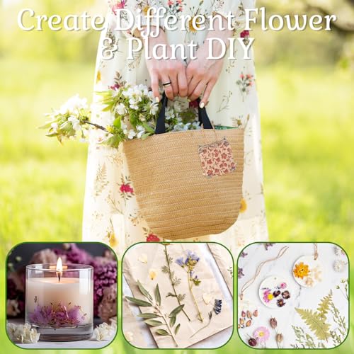 Leriton Micro Flower Press Kit 2.56 x 2.56 Inch Mini Wood Flower Press Kit Pocket Plant Leaf Preservation with 20 Specimen Papers for DIY Arts Crafts Pressing Plants