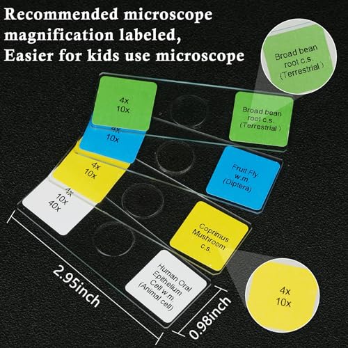 Microscope Slides with Specimens for Kids, 30 Lab-Grade Prepared Microscope Slides, Animal Plant Microbe Cells, STEM Biology Kit for Kids Ages 6-8 Homeschool, Classroom Labs & Science Education - size: Ages 6-8