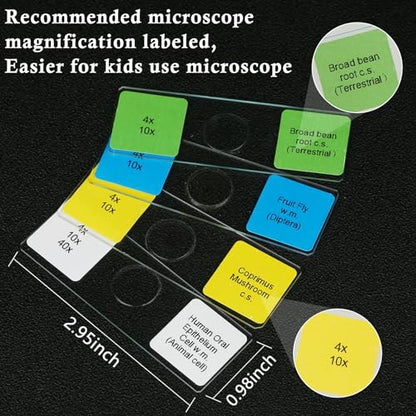 Microscope Slides with Specimens for Kids, 30 Lab-Grade Prepared Microscope Slides, Animal Plant Microbe Cells, STEM Biology Kit for Kids Ages 6-8 Homeschool, Classroom Labs & Science Education - size: Ages 6-8