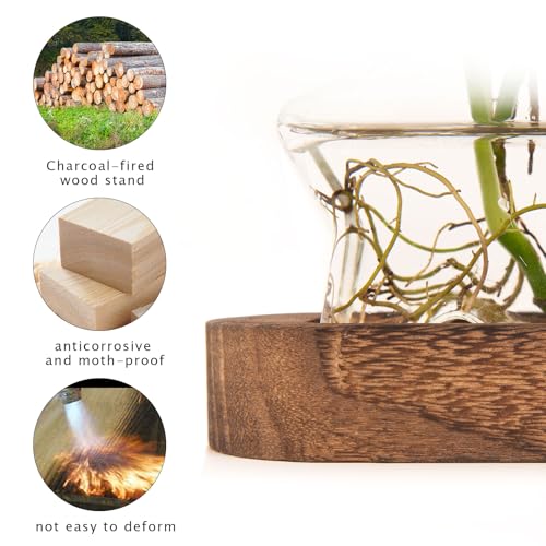 XXXFLOWER Plant Propagation Station with Wooden Stand 3 Star Jars - color: Transparent