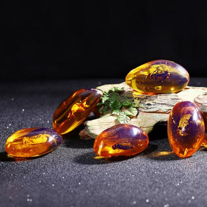 Amber Insect Specimens, 5 Pcs Unique Resin Stones with Real Bugs, Perfect for Jewelry Making, DIY Crafts, Home & Classroom Decor, Ideal Science Gifts for Kids & Adults