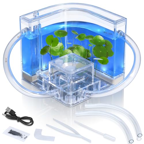 Ant Nest, Ant Habitat Kit