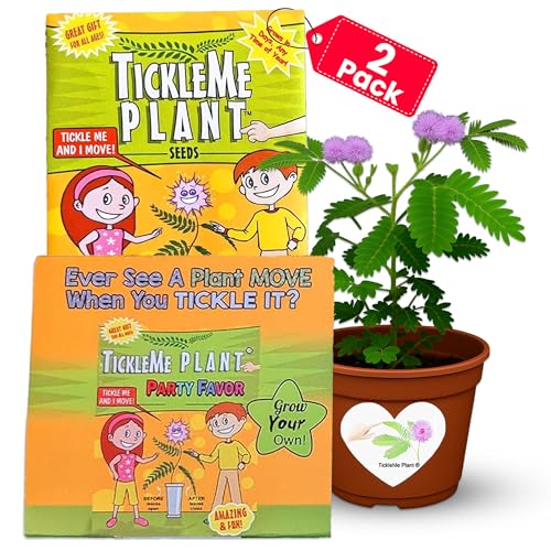 TickleMe Plant® Birthday Party Favors (2-Pack) – Touch It & Watch It Move! | Sensitive Plant Kids Grow Kit | Fun Interactive Indoor Gardening Gift for Kids, Classroom, STEM Activity - style: Birthday Party Favors