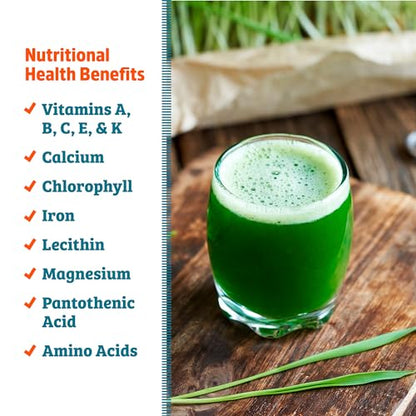Back to the Roots 100% Organic Wheatgrass Seeds | 1 Pound Non-GMO | Nutrient Dense, Easy to Grow | Cat Grass Planter Seeds - color: Wheatgrass 1lb