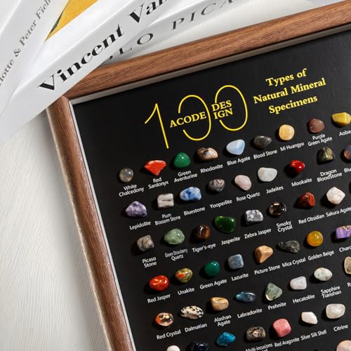 ACODE Natural Mineral Specimen Shadow Box, Geology Collection Display Case, Home Decor Wall Art Tabletop Display with Real Rocks Crystals, Gift for Birthday Christmas Housewarming Children's Day