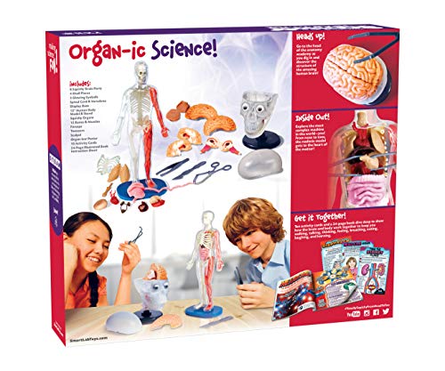 SMARTLAB Toys Totally Squishy from Head-to-Toe - 60 Pieces - 36 Removable Parts - 12" Human Body Model & Stand - 24-Page Illustrated Book - Includes Glowing Eyeballs!