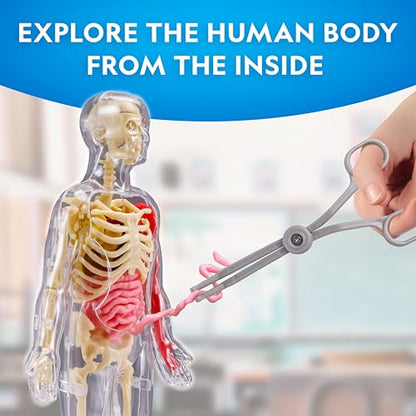 National Geographic Human Body Model for Kids 32-Piece Anatomy Set