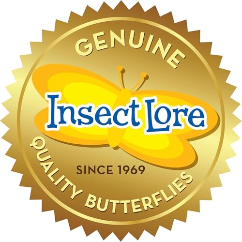 Insect Lore Two Cups of Live Caterpillars | Painted Lady Butterflies | Includes 2 Chrysalis Holding Logs | 10 Live Baby Caterpillars | Refill for Habitats and Kits