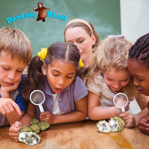 DANCING BEAR 25 Break Your Own Geodes, (Medium 1-1.5") 90% Hollow, Crack Open & Discover Amazing Surprise Crystals Inside! Educational Info and Instructions Included, Fun Party Favors & Prizes - style: Medium (1-1.5")
