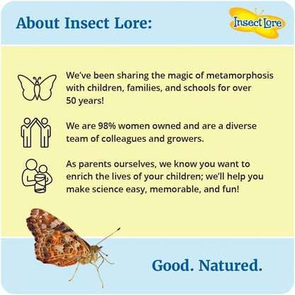 Insect Lore Two Cups of Live Caterpillars | Painted Lady Butterflies | Includes 2 Chrysalis Holding Logs | 10 Live Baby Caterpillars | Refill for Habitats and Kits