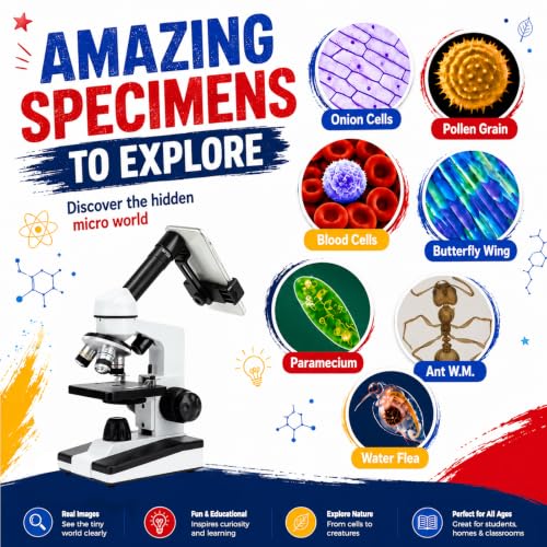 Microscope for Adults Students, 40X-2000X Metal Microscope Kit