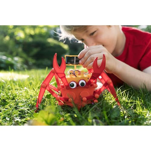 4M Hybrid Crabot Solar Robot Kit for Kids Ages 8-12 – Build a Sideways-Scuttling Crab with Moving Eyes & Claws, Solar or Battery Powered, STEM Renewable Energy Engineering Toy Gift