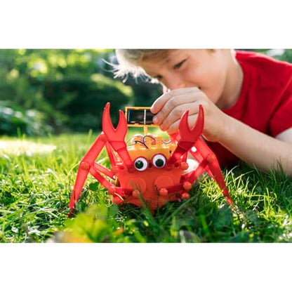 4M Hybrid Crabot Solar Robot Kit for Kids Ages 8-12 – Build a Sideways-Scuttling Crab with Moving Eyes & Claws, Solar or Battery Powered, STEM Renewable Energy Engineering Toy Gift