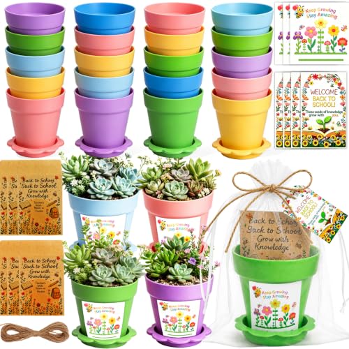 Back to School Mini Flower Pots Kit Plant Garden Pot with Thank You Cards