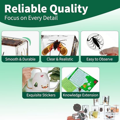 12 PCS Insect Specimen, Real Bugs in Resin for Science Classroom