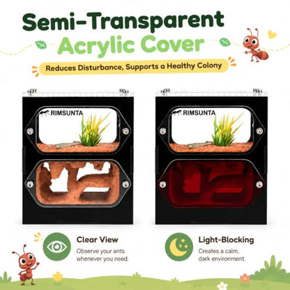 Terra Core S Dual View Ant Farm, Acrylic Formicarium Nest with Starter Kit, Double-Sided Observation Habitat with Moisture System for Ant Keepers, 3.93 x 2.36 x 4.52 in - size: Terra Core Series-DualView S