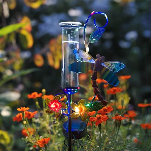 Stargarden Rain Gauge Outdoor, Metal Dragonfly Rain Gauge with 5 inch Glass Tube - color: Dragonfly